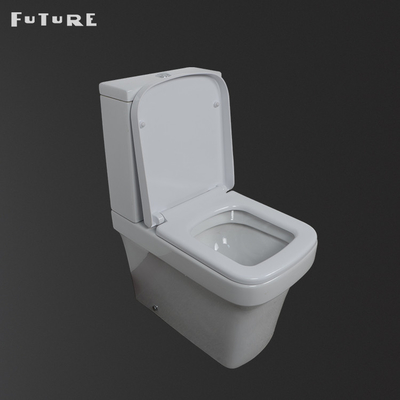 Il forte quadrato portante ha modellato la piccola trappola coppia vicina della toilette P delle toilette