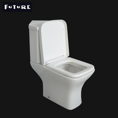 Cassettone standard ideale dell'angolo della sciacquone dell'angolo dello spazio di Flessinga di Washdown