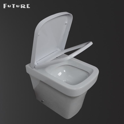 Compatto antibatterico di nuovo alla toilette della parete