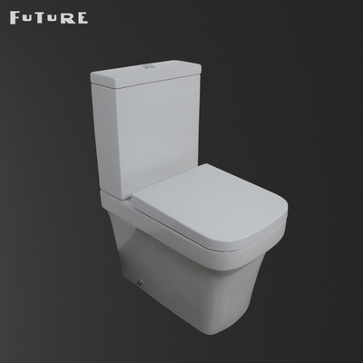 Il forte quadrato portante ha modellato la piccola trappola coppia vicina della toilette P delle toilette