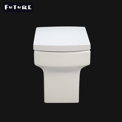ampio quadrato di 360mm di nuovo alle toilette della parete