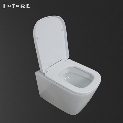 Il cassettone astuto ad alta densità di nuovo alla toilette di Washdown della parete liscia lustrato