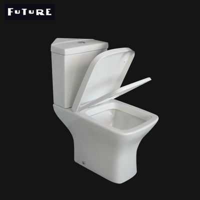 Cassettone standard ideale dell'angolo della sciacquone dell'angolo dello spazio di Flessinga di Washdown